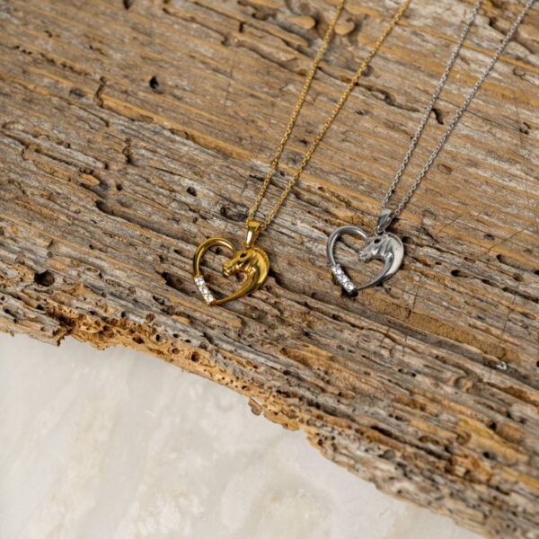 ΑΣΗΜΕΝΙΟ ΚΟΛΙΕ "HORSE HEART"